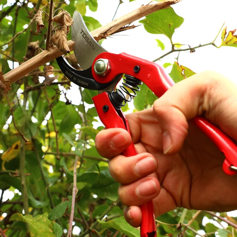 خرید و معرفی انواع ابزارهای باغبانی توسن